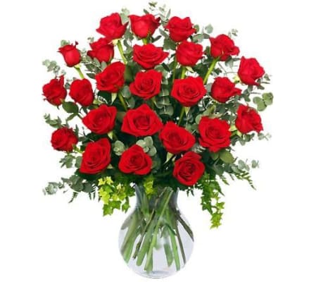 24 Radiant Roses Red Roses Arrangement - FSN