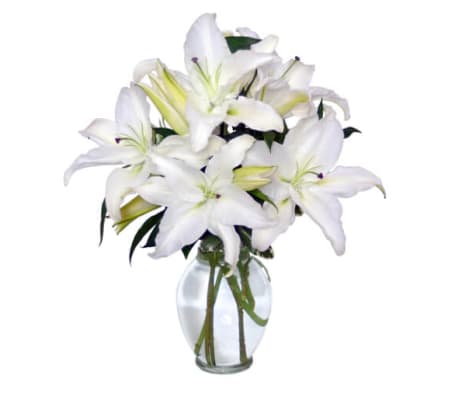 Casa Blanca Lilies Arrangement - FSN