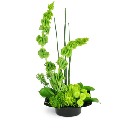 Green Zen