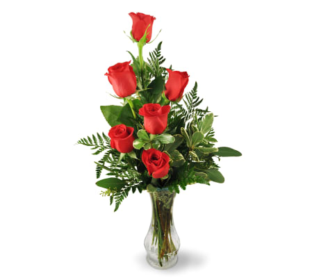 Six Roses Arranged