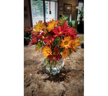 Fall Daisy Bowl