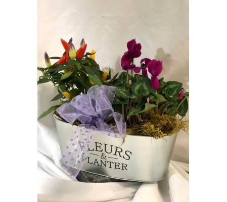 Fleurs and Planters