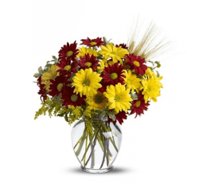 Fall for Daisies by Teleflora SALE!
