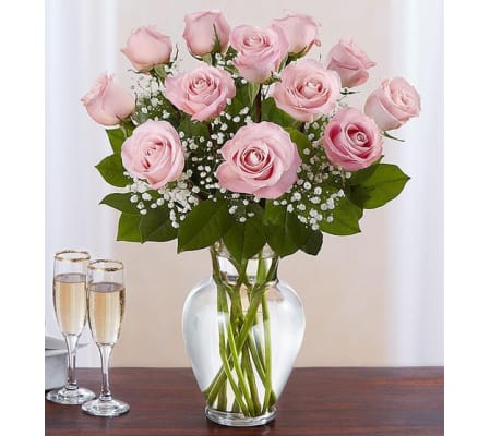 Pink Rose Elegance