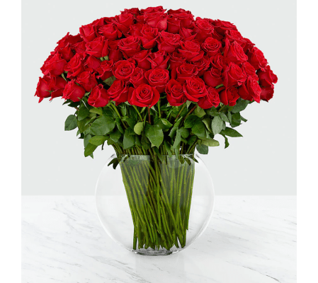 Sensational Luxury Rose
