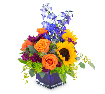 Season of Us by Country Gardens