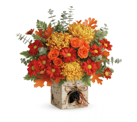 Wild Autumn by Teleflora