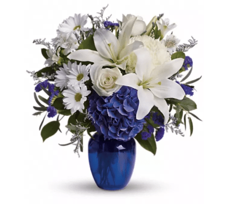 Beautiful in Blue and White