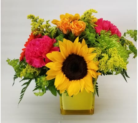Cheering You Up (Sunflowers out of season)