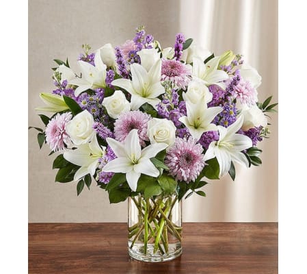 SINCEREST SORROW IN PURPLE