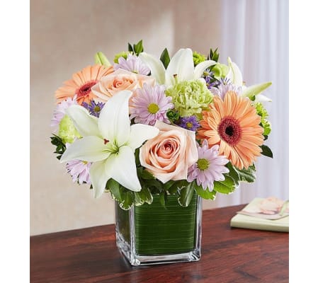 Cube Arrangement-Pastel