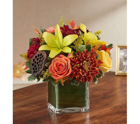 Cube Arrangement-Autumn
