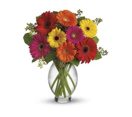 The Gerbera Brights Bouquet by Teleflora