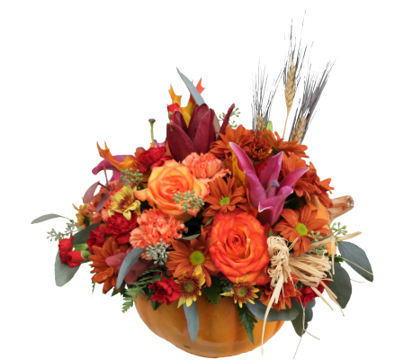 Autumn's Harvest