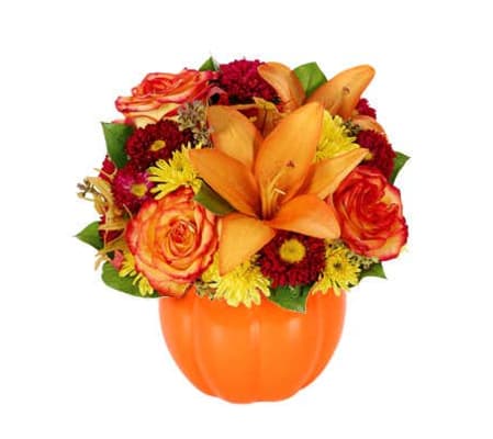 A Fall Harvest Pumpkin