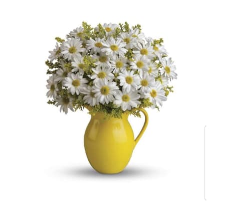 Sunshine ptcher With Beautiful White Daisies