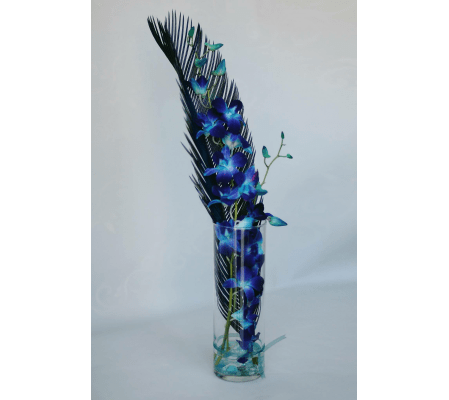 Dendrobium Orchid Vase