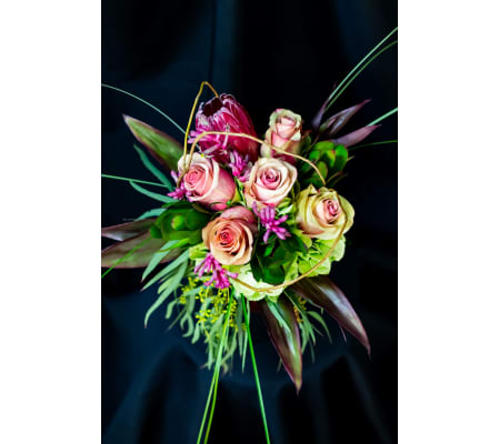 Protea in Pink