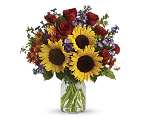 Sunflower Happiness