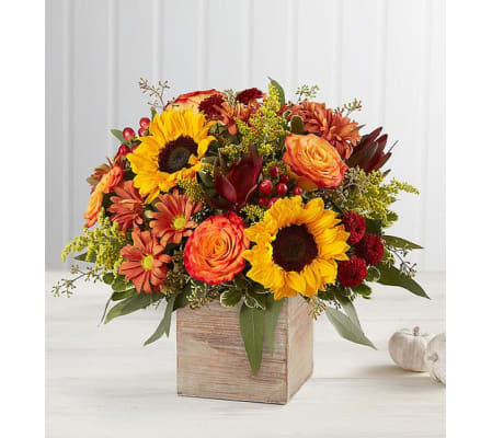 Harvest Glow Arrangement