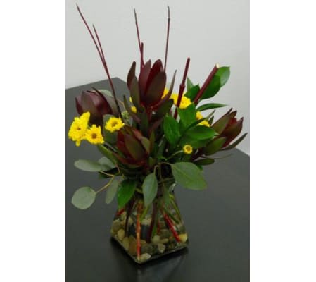Leuchadendron Vase
