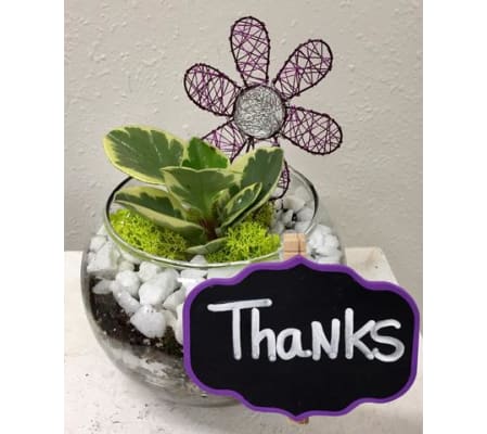 Thanks to you! Terrarium Bowl