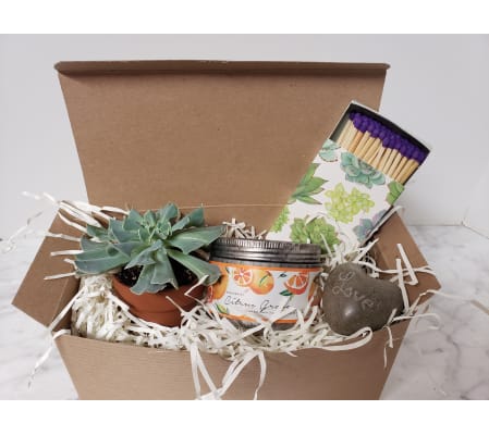 Succulent & Candle Gift Box