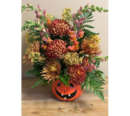 Jacko Flowers