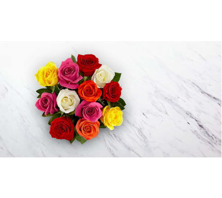 18 Rainbow Rose Wrap - NO VASE