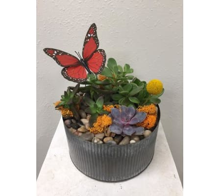 Succulent Garden Tin