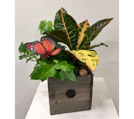 Foilage Box