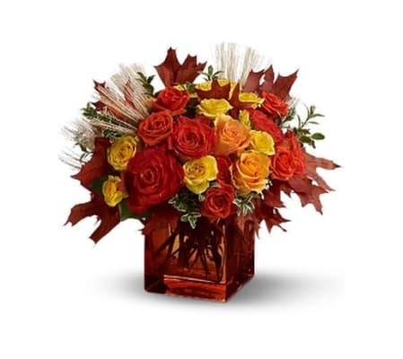 FINE FALL ROSES