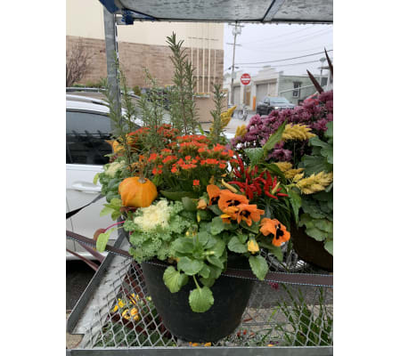 bright fall outdoor combo
