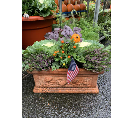 mixed fall planter