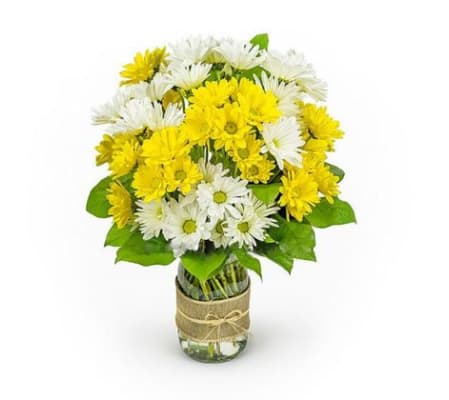 Daisies in a mason jar