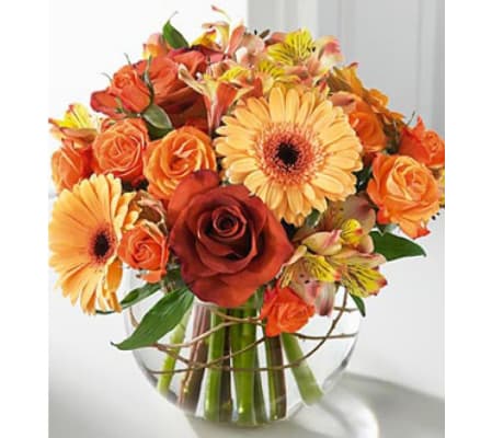 Fall Elegance