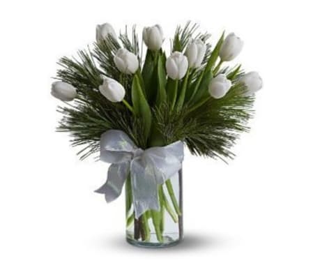 White Tulips and Pine