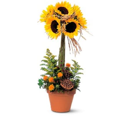 Sunflower Topiary TF