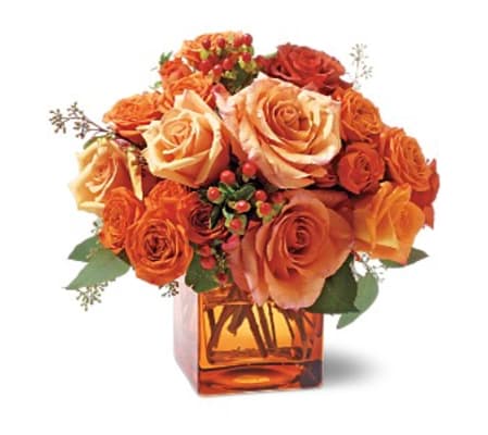 Orange Mosaic TF