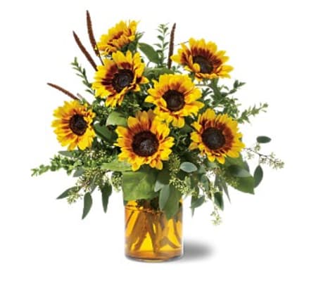 Sunrise Sunflowers TF