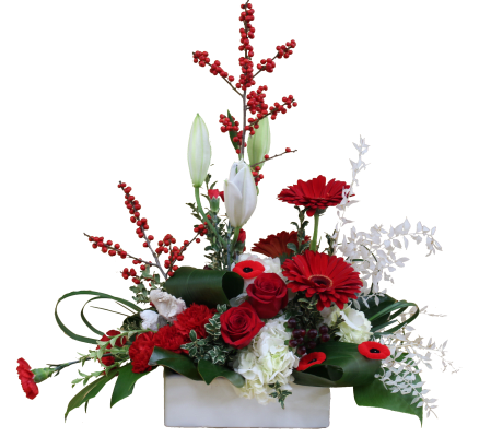 A Remembrance Tribute