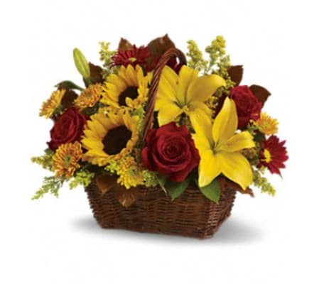 Golden Days Basket TF