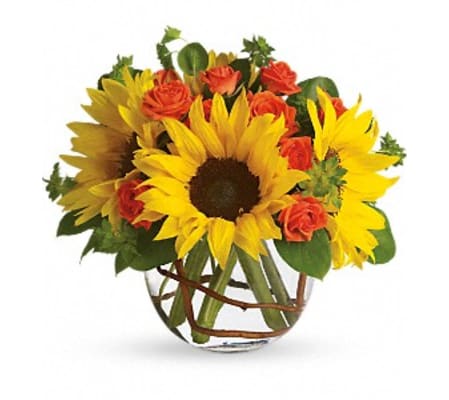 Sunny Sunflowers TF