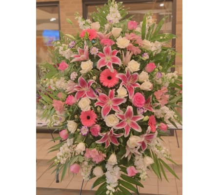PINK MEMORY