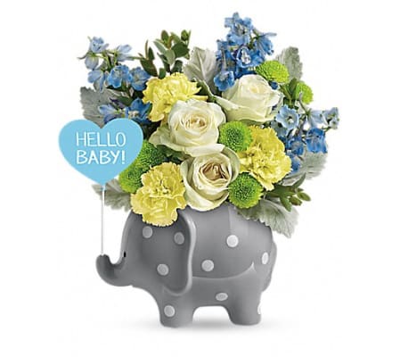 welcome new baby boy