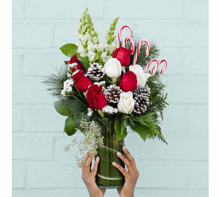Candy Cane & Roses