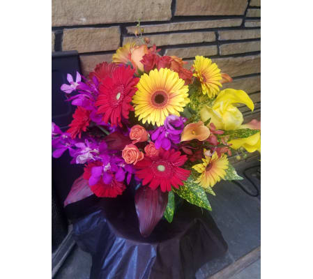 VIBRANT BLOSSOMS