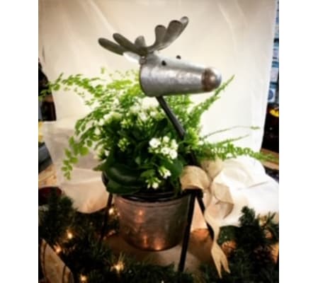 Christmas Reindeer planter