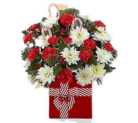 Candy Cane Holiday Christmas Bouquet