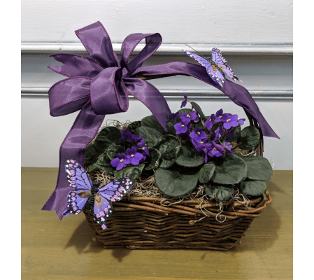 Pretty Purple Violet Basket